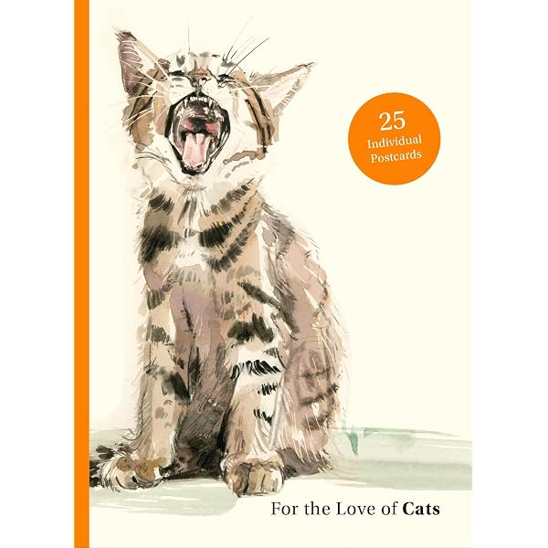 The Secret Life of Cats Correspondence Cards: (Funny Kitty